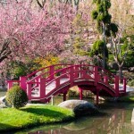 Décoration des jardins japonais - 7