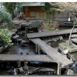 Décoration des jardins japonais - 9