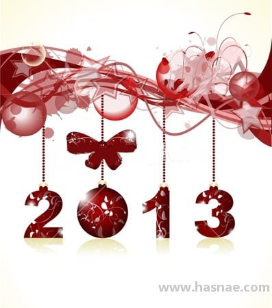 Photos pour la New Year... Bonne année 2013 - 17