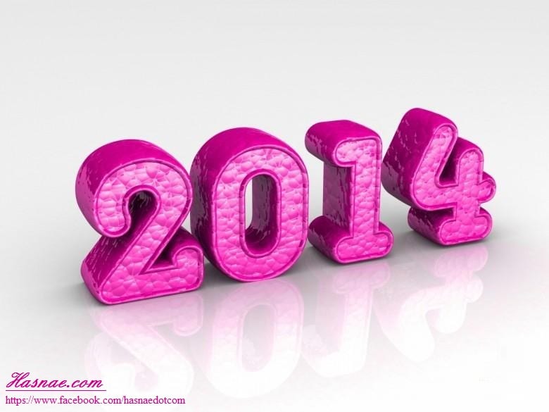 Belles Photos pour la New Year... Bonne année 2014 - 3