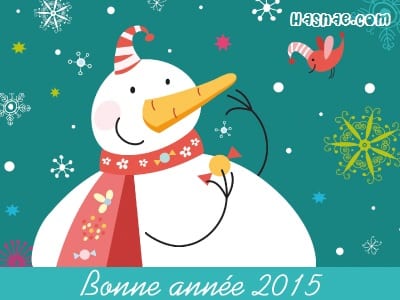 Photos et Cartes Noël 2015 - 3
